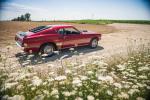 Ford Mustang Mach I 428 Super Cobra Jet 1969 года